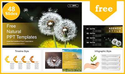 Dandelion Seeds Blowing PowerPoint Templates